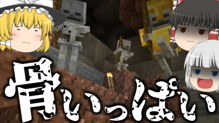 ゆっくり実況 霊夢と魔理沙と妖夢のマインクラフト 1 Minecraft Summary マイクラ動画