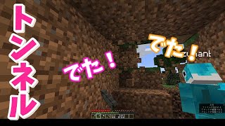 マインクラフト はじまるよ！【#10】トンネル掘ったら…！