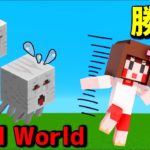 【1人暮らしマイクラ】速さが命！俊足でネザーを攻略せよ！ep19