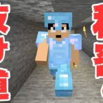 【カズクラ2021】あの島に繋がる秘密の通路が完成！？マイクラ実況 PART18