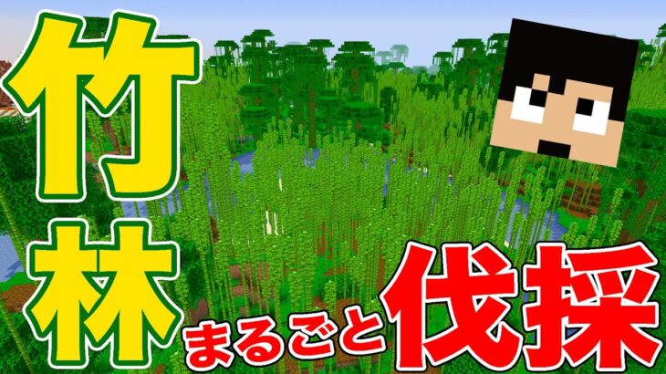 カズクラ21 ジャングル丸ごと伐採 超大量の竹をget マイクラ実況 Part24 Minecraft Summary マイクラ動画