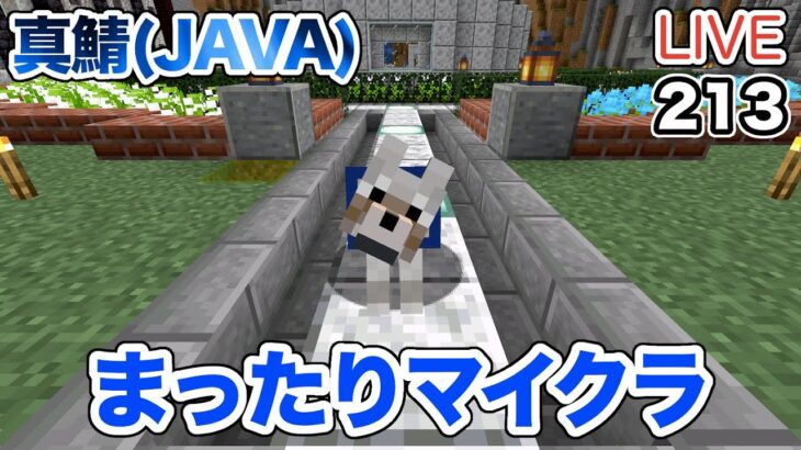 【マイクラ】#213 LIVE：まったりマイクラ！この子達の家を作ろう！（真鯖）