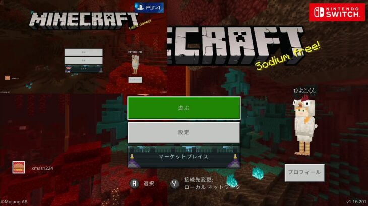 #26【SWITCH／PS4】『マインクラフト』　参加型　人の家の物は取ってはいけない