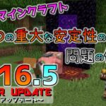 [Java版マイクラ]Ver1.16.5 ２つの安定性の問題解決の正式リリース！