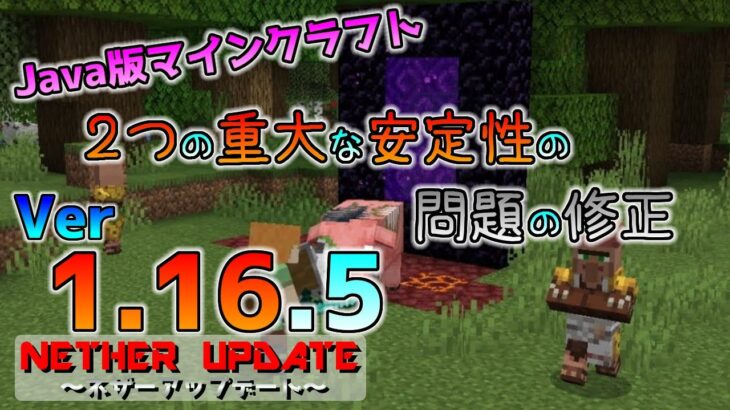 [Java版マイクラ]Ver1.16.5 ２つの安定性の問題解決の正式リリース！