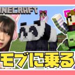 ゾンビやクリーパーに乗る⁉モブに乗れるマイクラが色々おかしいｗ【マインクラフト】【Minecraaft】【女性ゲーム実況者】【TAMAchan】