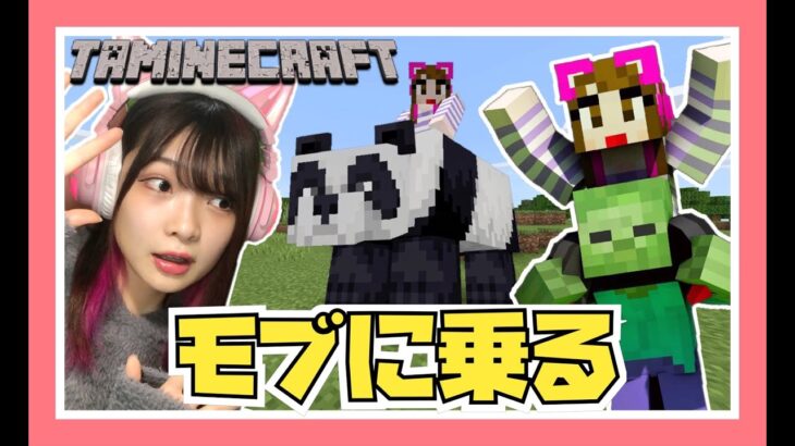 ゾンビやクリーパーに乗る⁉モブに乗れるマイクラが色々おかしいｗ【マインクラフト】【Minecraaft】【女性ゲーム実況者】【TAMAchan】