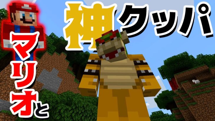 ゲーム遊び マイクラ マリオと神になったクッパ マインクラフト アナケナ カルちゃん Minecraft Minecraft Summary マイクラ動画