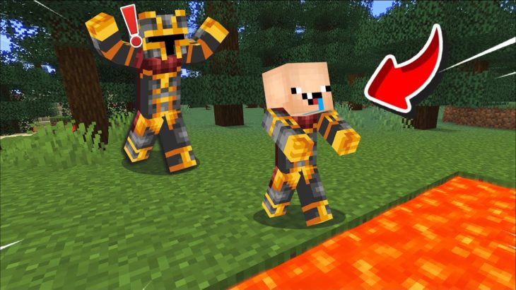 Minecraft BABY MOBS PRANK WITH MONSTER SCHOOL TROLLING MOD / DON’T FALL 🌋!! Minecraft Mods