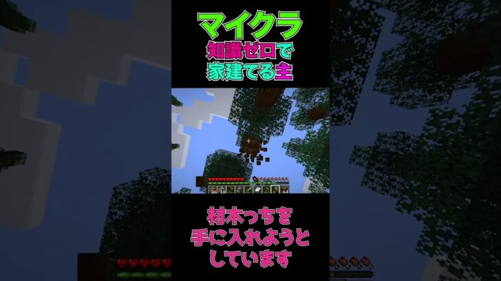 【マイクラ】知識ゼロで家を建てようとする主【Minecraft】#shorts #マイクラ #Minecraft #マインクラフト #生配信 #ゲーム実況 #切り抜き