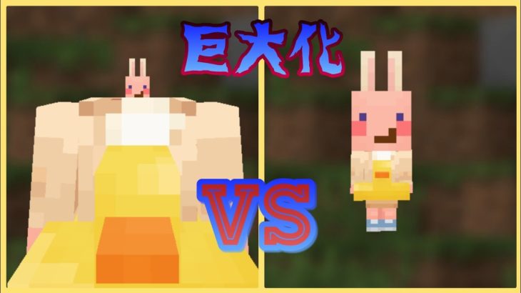 [マイクラ]体の一部が巨大化した世界でPVP