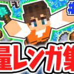 生放送でレンガ集め!!建築資材が大量に欲しい!!マイクラ実況Part175【マインクラフト】