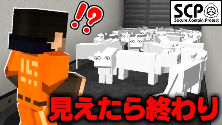 『SCP-040-JP』ねこですよろしくおねがいします【マイクラSCP72話】