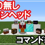 TAMEKURA!【コマンド紹介】あの有名実況者のスキンヘッドや小さいブロックが出せる⁉マイクラ小技コマンド紹介【マインクラフト】