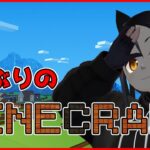 【minecraft】ほぼ一年ぶりのマイクラ！【クラフト】