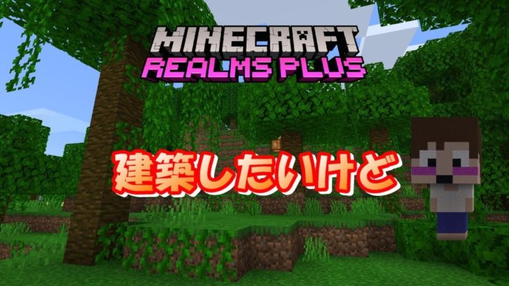 【マインクラフト統合版レルムズ】建築したいけど