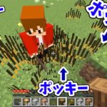 【マイクラ】ポッキーさんをお菓子な世界に招待した【赤髪のとも:ぽきとも】