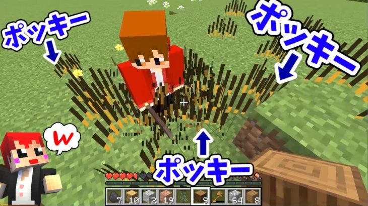 【マイクラ】ポッキーさんをお菓子な世界に招待した【赤髪のとも:ぽきとも】