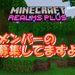 【マインクラフト統合版レルムズ】羊の家つくる♪