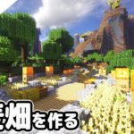 【マインクラフト】崖まで続く小麦畑を作ってみる。【マイクラ実況】