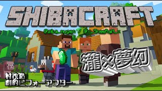 【マイクラ】今日はネザーを破壊します！