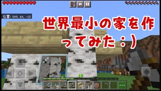 マイクラ世界最小の家