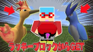 【マイクラ】ラッキーブロックから出たポケモンを捕まえてバトルしたらヤバすぎた！？