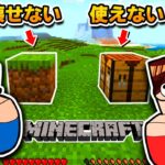 【バグ】「掘るのもクラフトするのも禁止」のマインクラフトやってたら”最悪のバグ”発生した…【マイクラ】