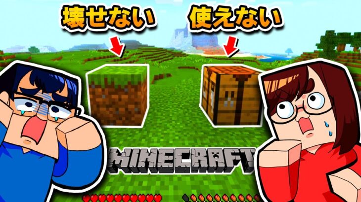 バグ 掘るのもクラフトするのも禁止 のマインクラフトやってたら 最悪のバグ 発生した マイクラ Minecraft Summary マイクラ動画