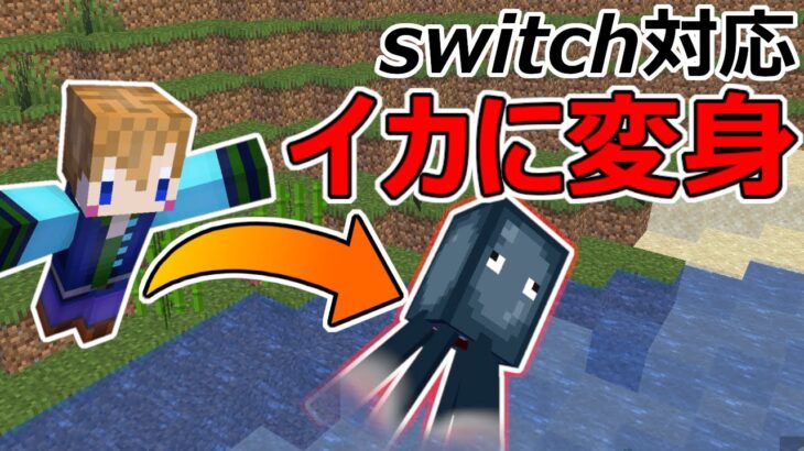 スイッチ対応 超簡単 イカに変身できるコマンド マイクラコマンド Minecraft Summary マイクラ動画