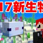 【マイクラ1.17】新生物!!ウーパールーパー&ヒカリイカ追加!?【赤髪のとも】