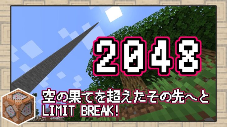 【マイクラ1.17】限界高度 2048 ブロック！！空の果てを超えたその先へと【データパック】【Snapshot 21w06a】