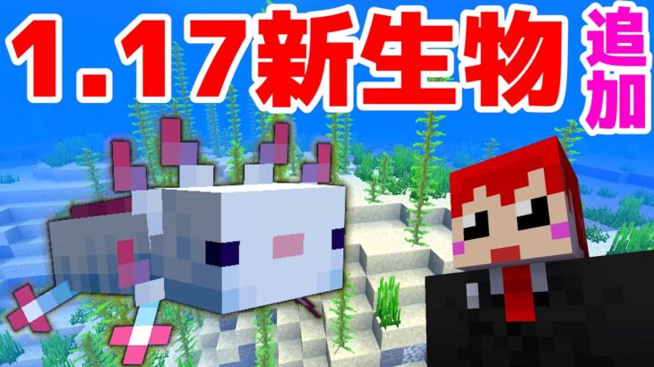 【マイクラ1.17】新生物!!ウーパールーパー&ヒカリイカ追加!?【赤髪のとも】