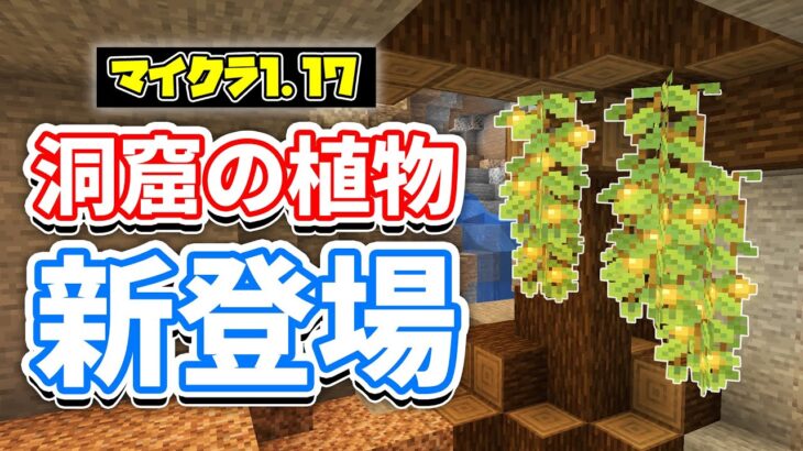 【マイクラ1.17】洞窟に新植物が追加‼グロウベリー・胞子の花・ドリップリーフなど詳しく解説‼【マインクラフト】SNAPSHOT 21W05A(洞窟と崖アップデート)