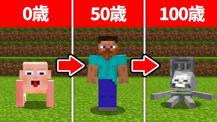 100歳になったら死ぬマインクラフト【マイクラ】