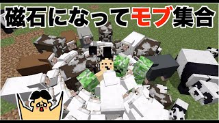 【マイクラ】磁石になってモブ集合！「#108 ドイヒーくんのMODやってみた！」【人間ブラックホール・サバイバル】