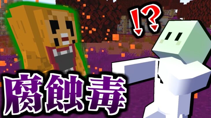 【マインクラフト】呪霊だらけの世界でサバイバル! #9 体が腐蝕される呪いがヤバい【呪術廻戦MOD】