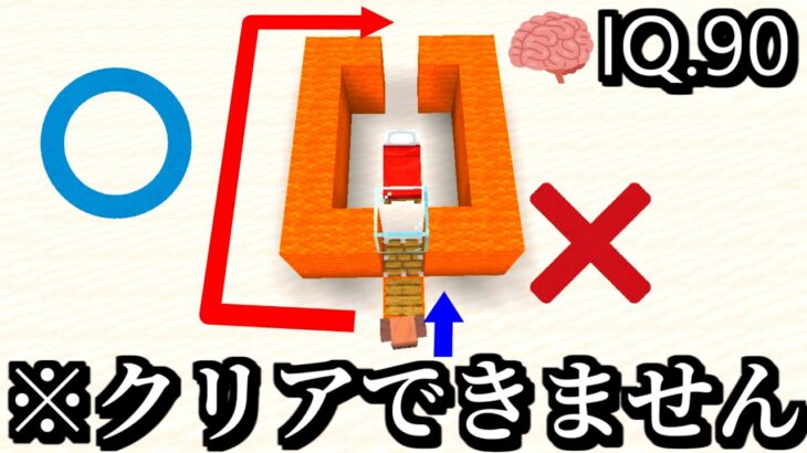 【マインクラフト実況】村人のIQはどのくらいでしょうか？