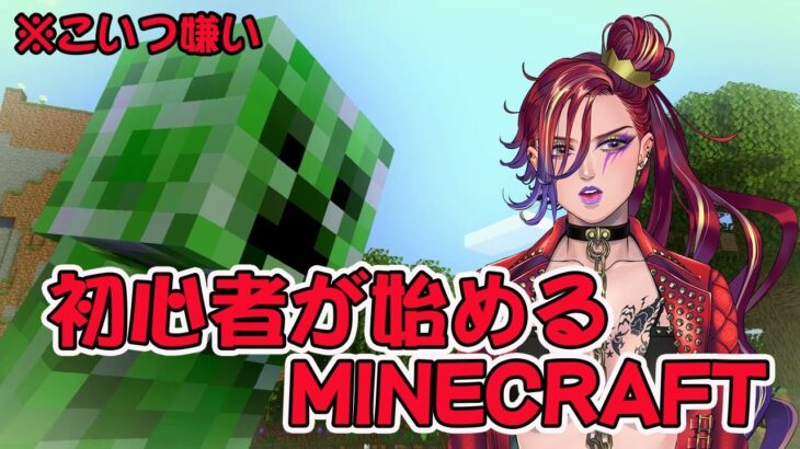 Japanesevtuber 初心者が迷子になるminecraft Minecraft ローハイ堂マイクラ Minecraft Summary マイクラ動画