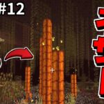 ネザーが怖すぎる！マイクラMOD「超！自然と闘うサバイバル」#12【HeatandClimateMOD】