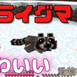 【動物MOD】マイクラでアライグマ捕まえた！動物園を作りたい！#3【マイクラ】【マインクラフト】