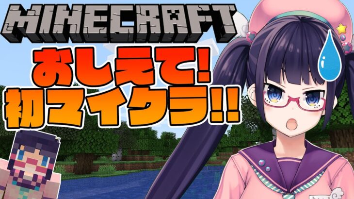 【Minecraft】おしえて！初マイクラ！！【ビートまりお】