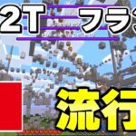 【マイクラ】２ｂ２ｔのフランス人サーバーがめっちゃ面白いんだがｗｗｗ【Minecraft】