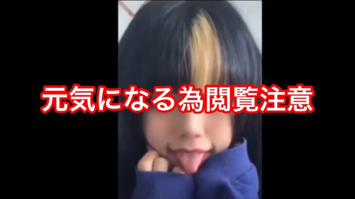 【Minecraft】【エロ閲覧注意】あへ顔 JPweeek59day【一日一個で家を作る】