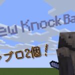 【Minecraft Java Edition】ノックバック界に革命を起こせ！スーパーノックバックでコンボ祭り！ハスクのマイクラコマンド！