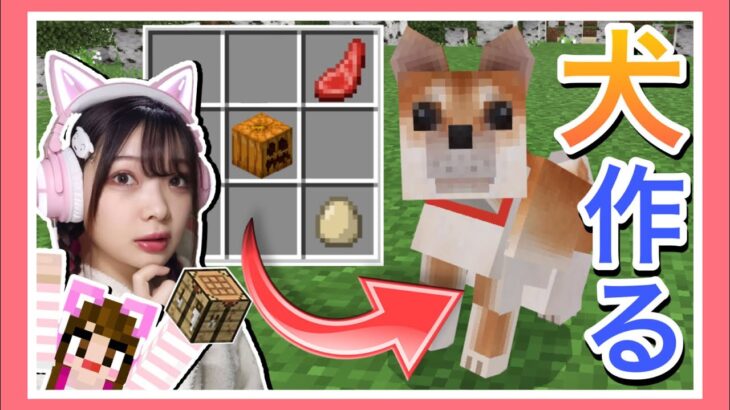 ペットをクラフトできるおかしなマインクラフト【マイクラ】【Minecraft】【女性ゲーム実況者】【TAMAchan】