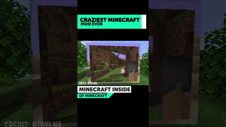 PLAYING MINECRAFT IN MINECRAFT??  (INSANE MINECRAFT MOD)