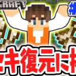 発掘した化石を復元しよう!!博物館みたいに飾りたい!!マイクラ実況Part189【マインクラフト】