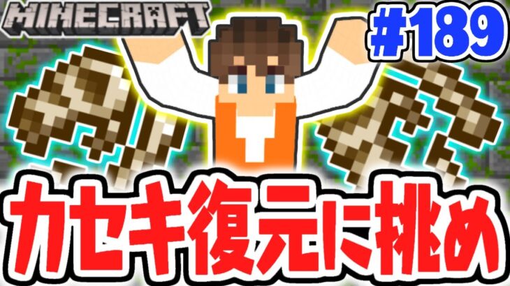 発掘した化石を復元しよう!!博物館みたいに飾りたい!!マイクラ実況Part189【マインクラフト】