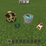 Placeable Items MOD in Minecraft PE